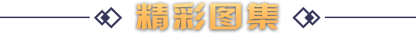 title4