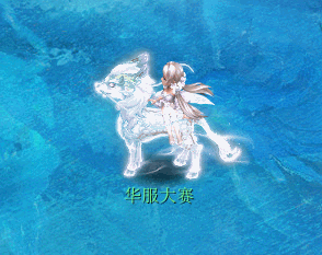 赛事规则